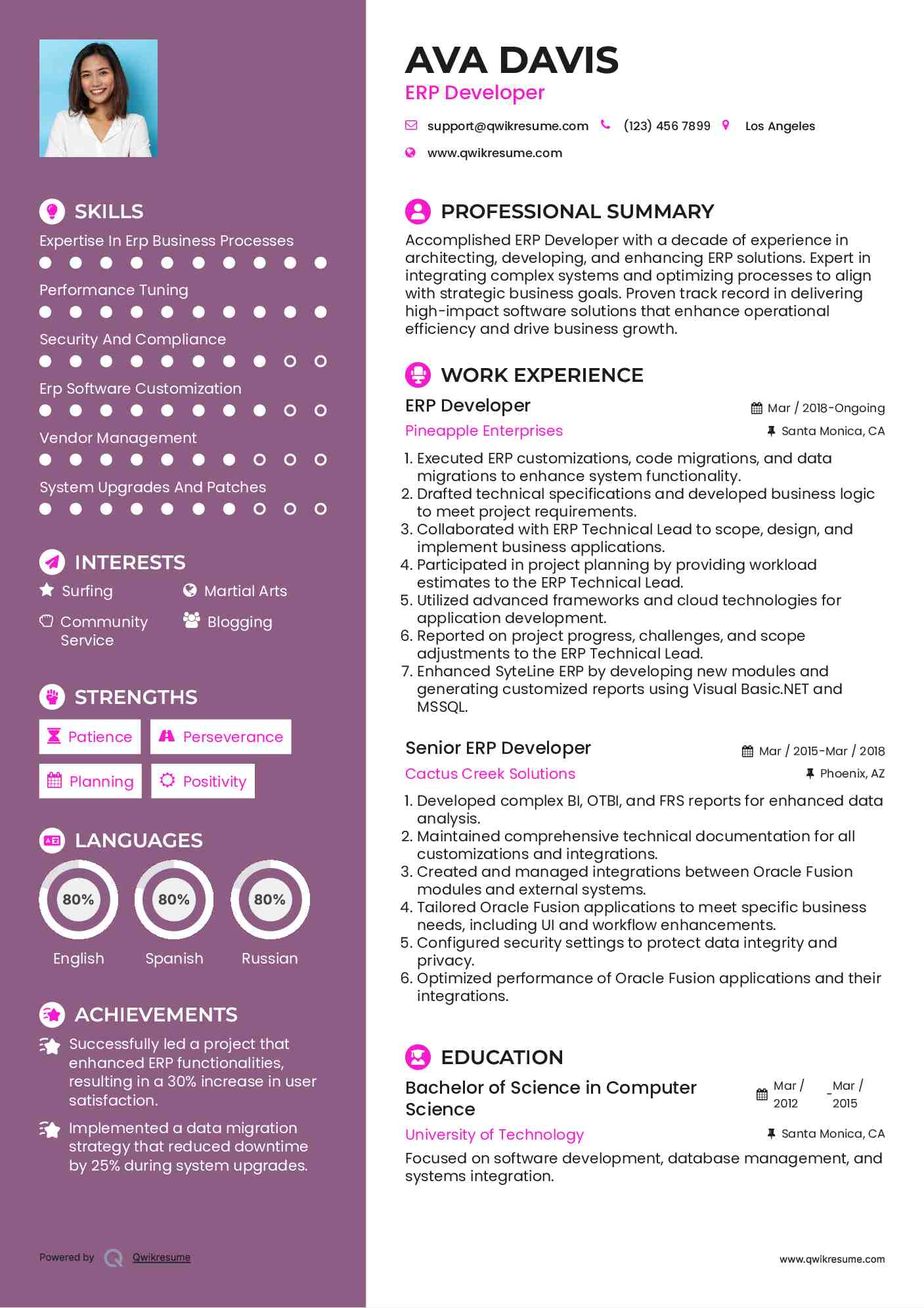 ERP Developer Resume Model