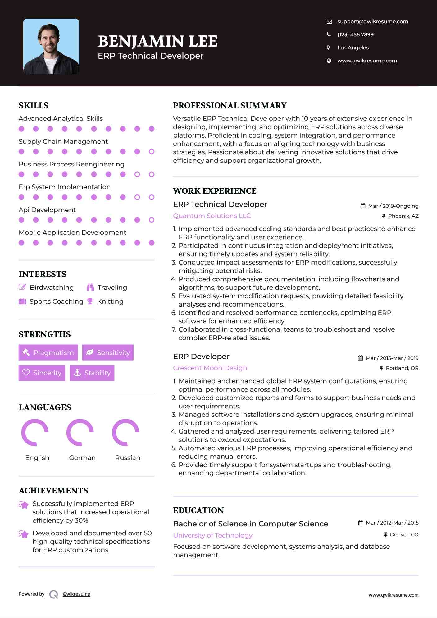 ERP Technical Developer

 Resume Example