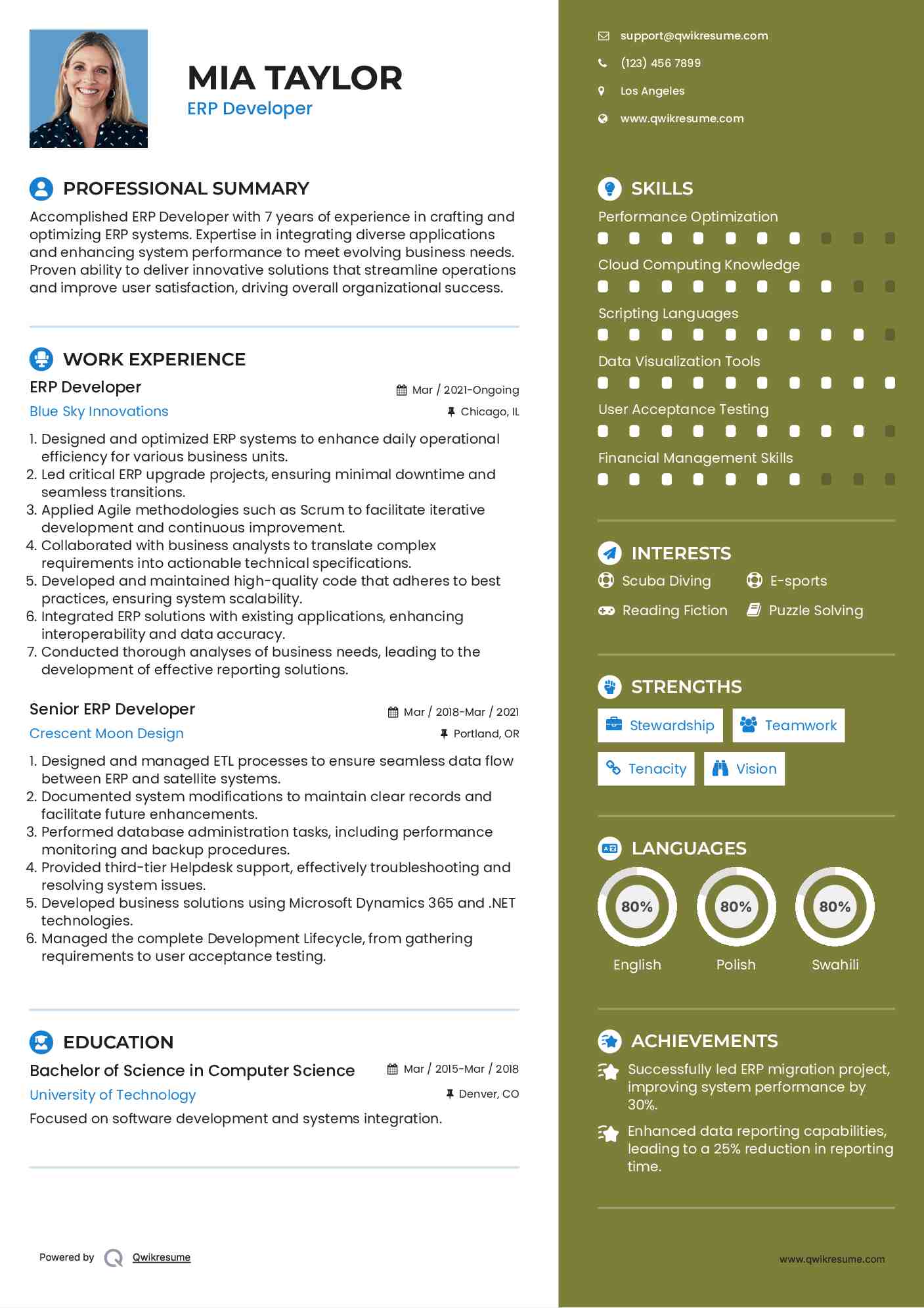 ERP Developer Resume Format