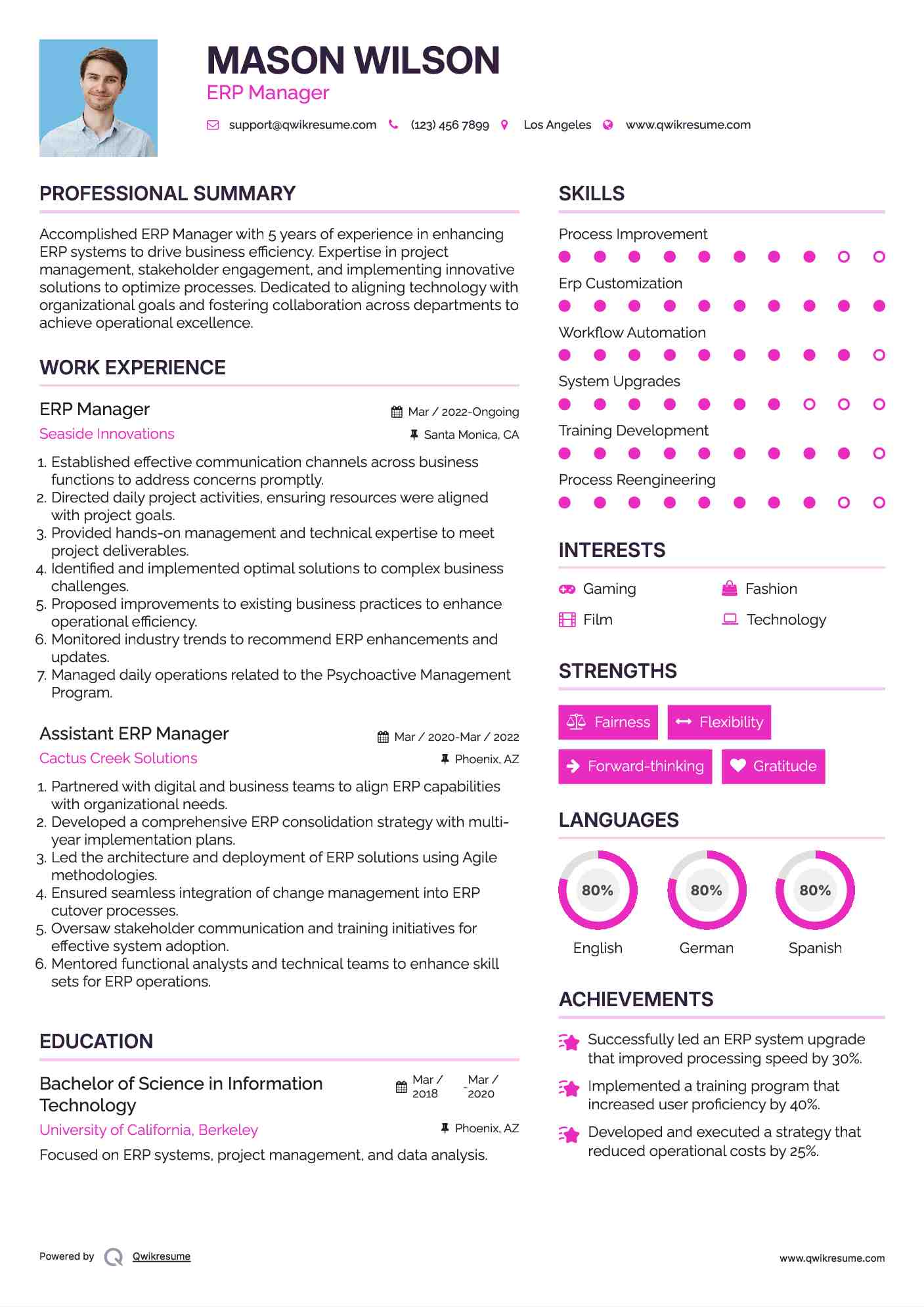 ERP Manager Resume Example