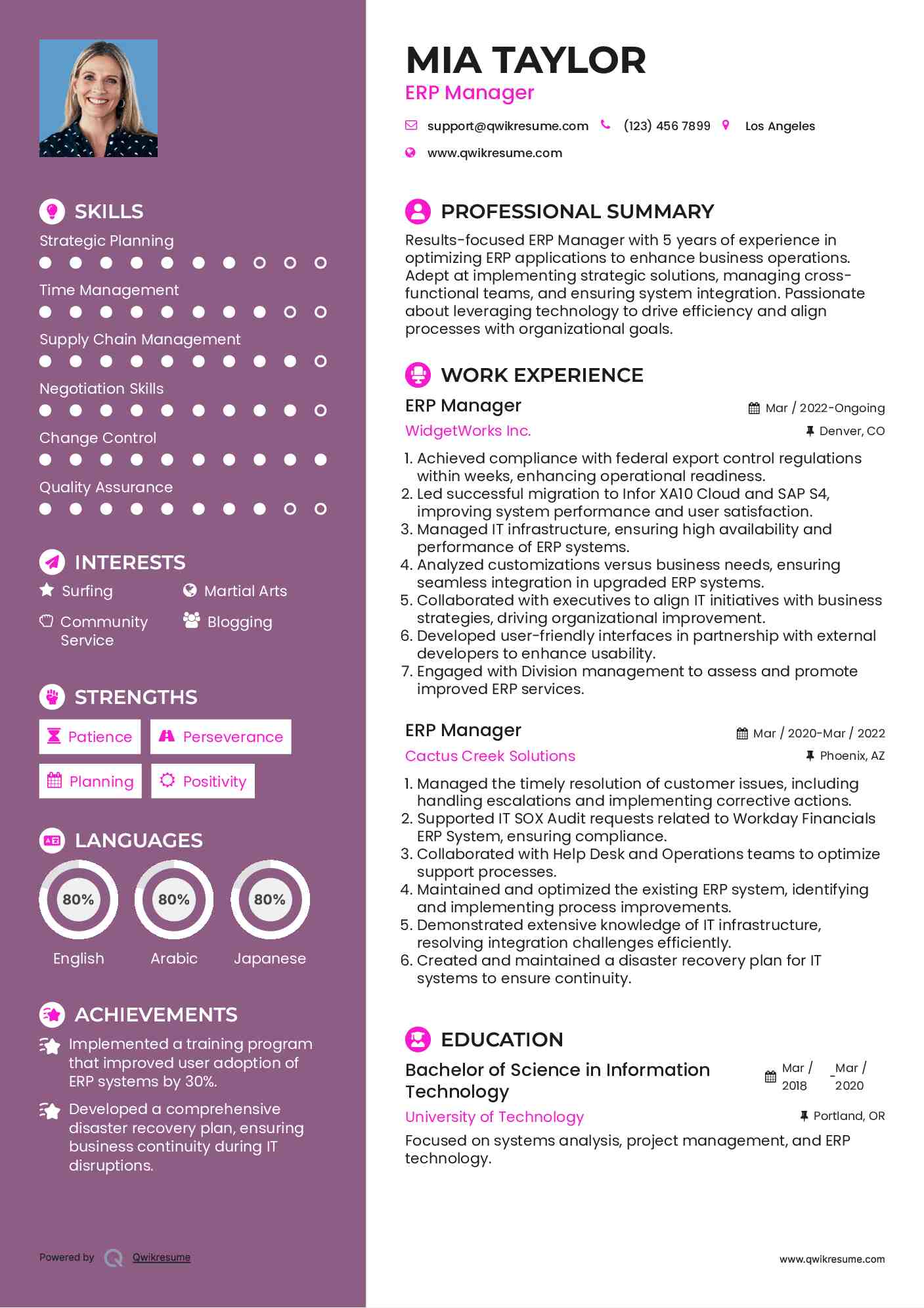 ERP Manager Resume Sample