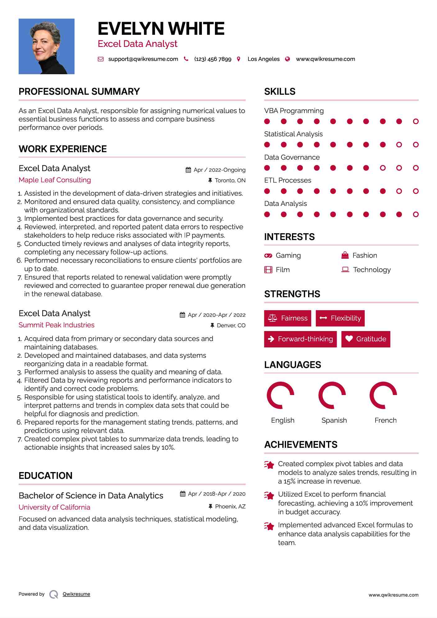 Excel Data Analyst Resume Template