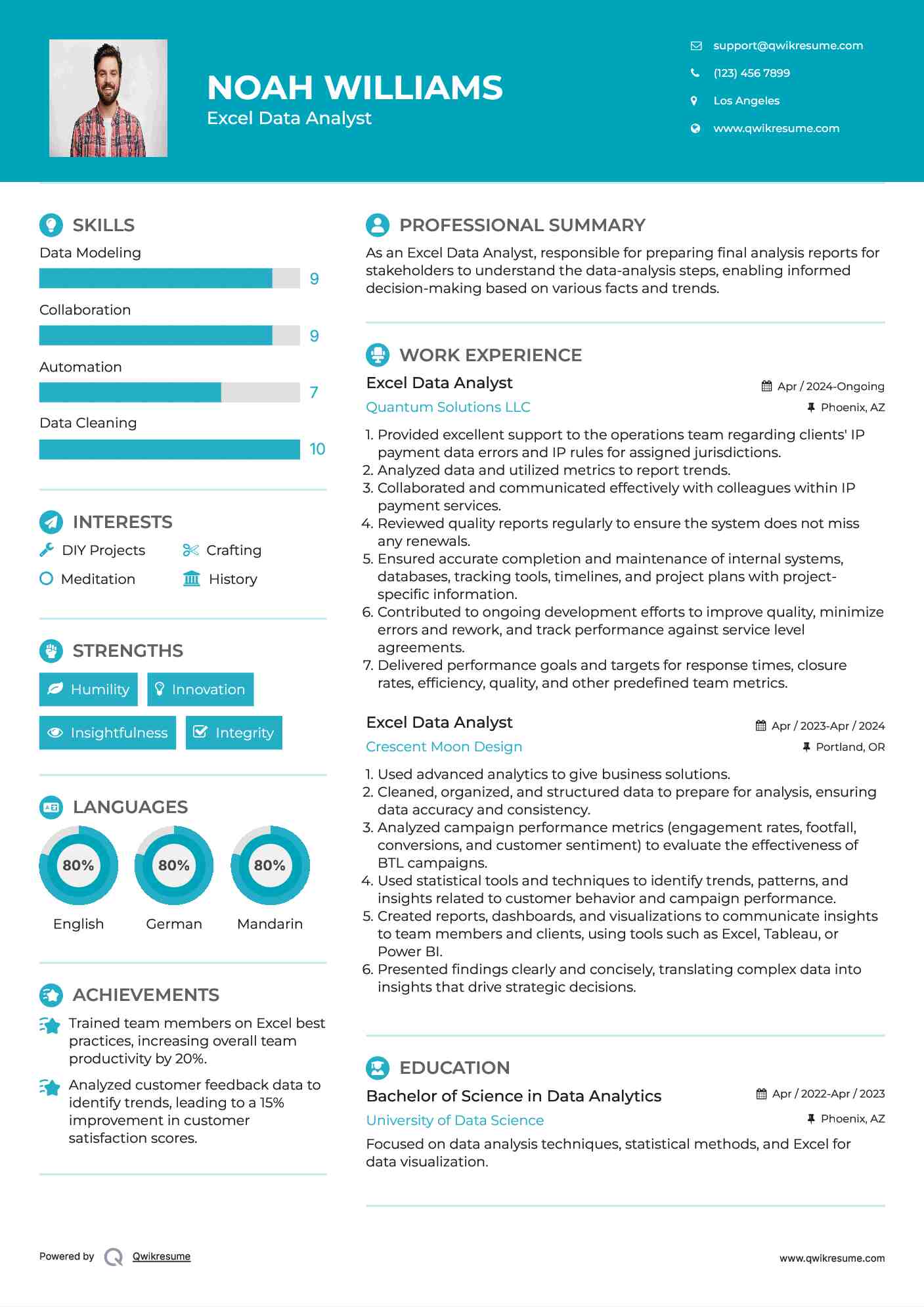 Excel Data Analyst Resume Example
