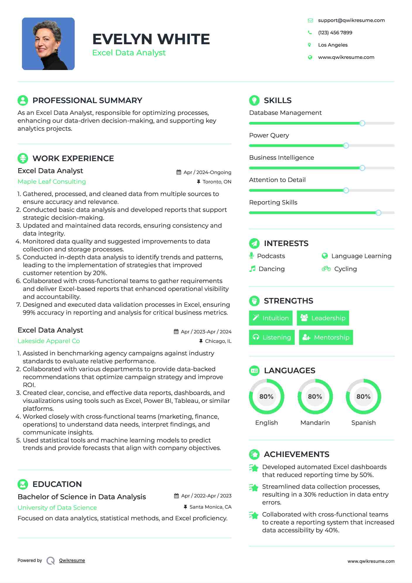 Excel Data Analyst Resume Template