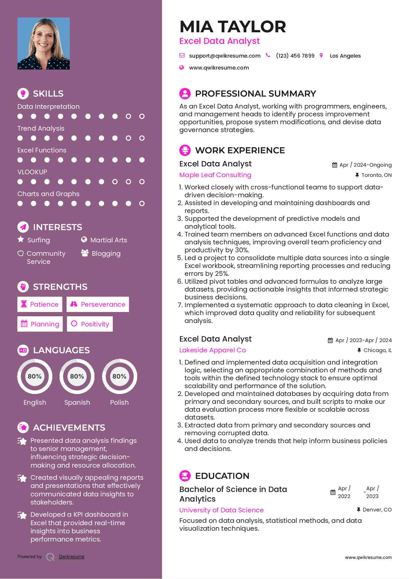 Excel Data Analyst Resume Sample