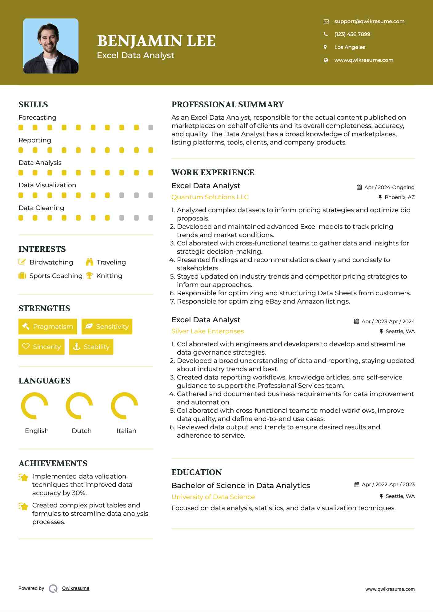 Excel Data Analyst Resume Sample