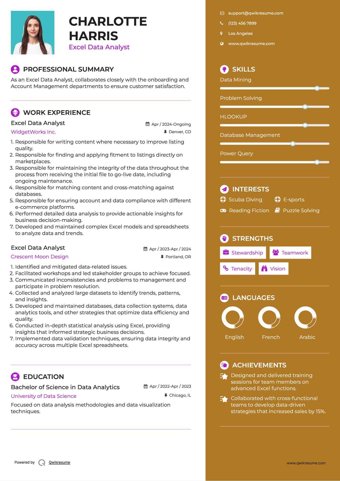 Excel Data Analyst Resume Template