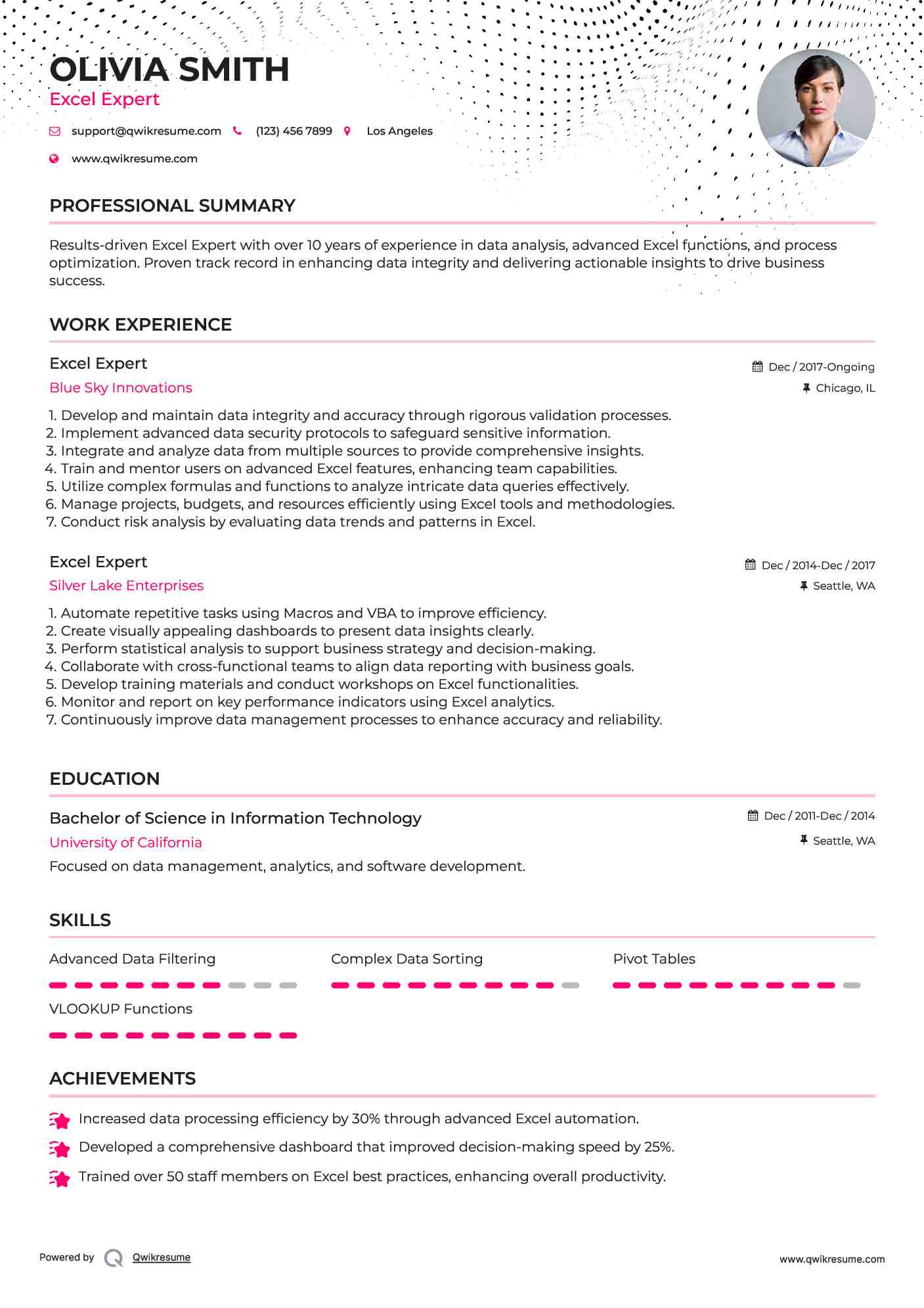 Excel Expert Resume Model