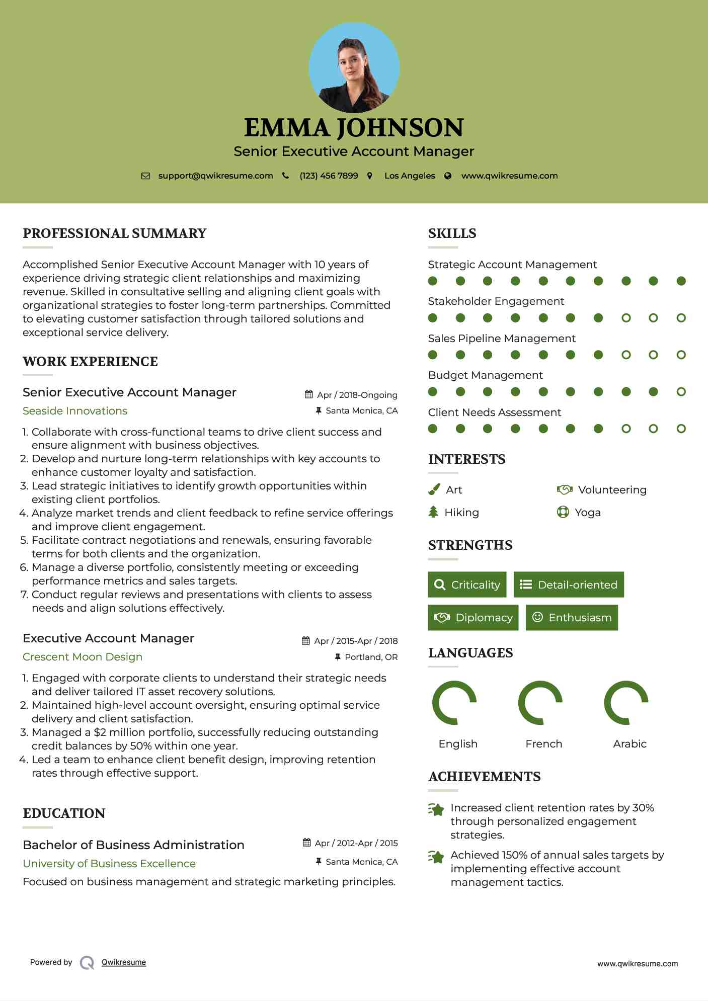 Senior Executive Account Manager Resume Model