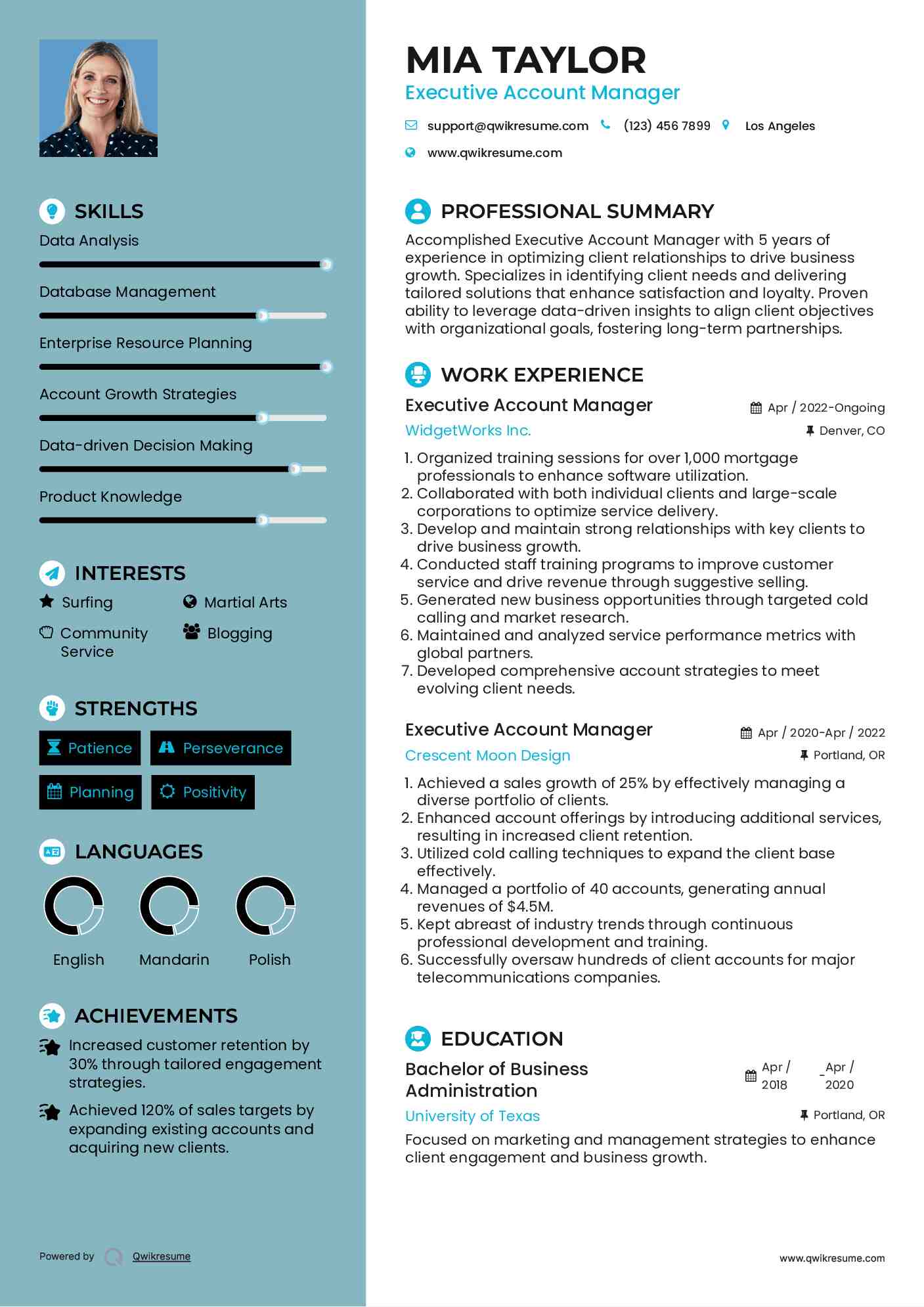 Executive Account Manager Resume Format