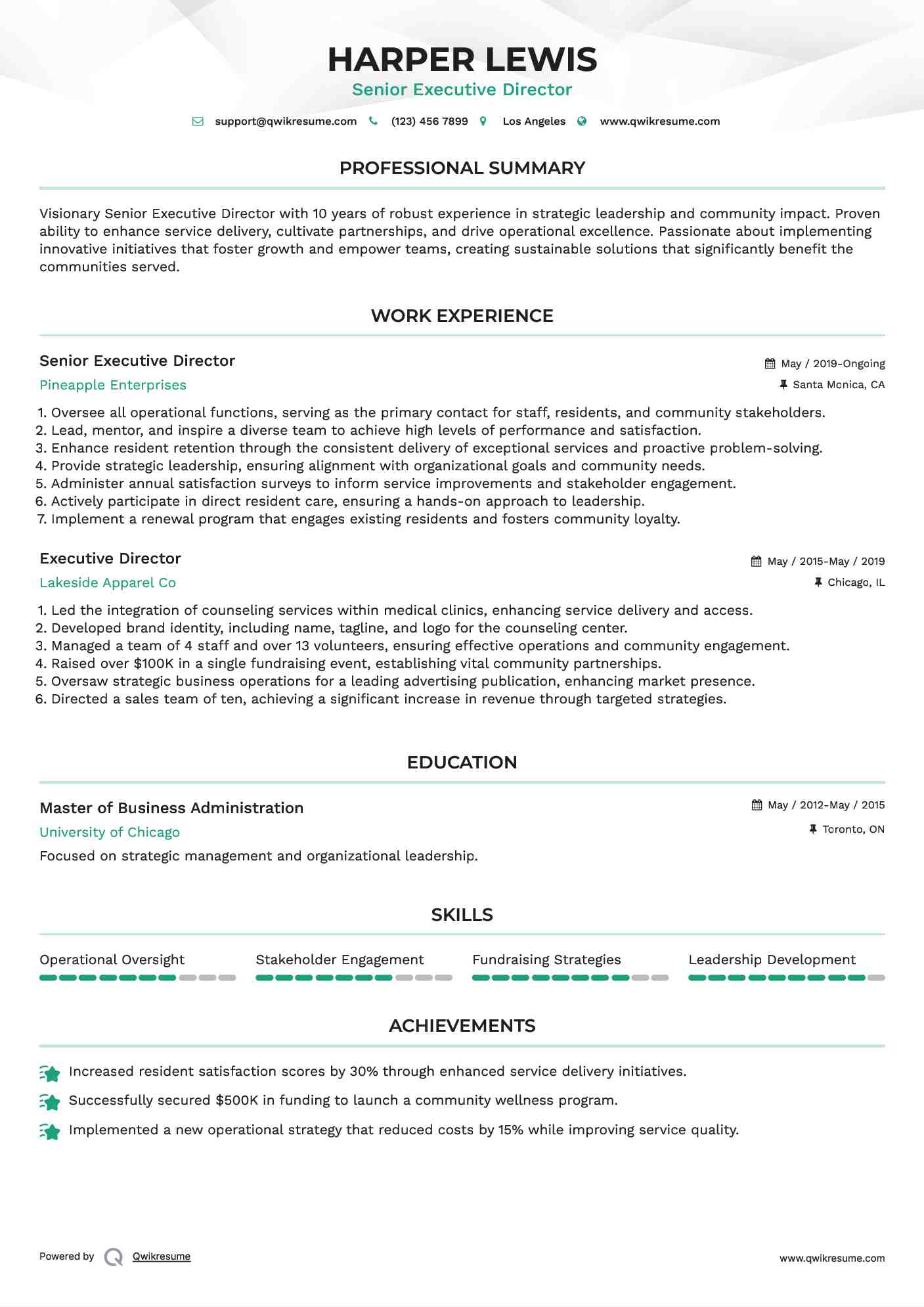 Senior Executive Director Resume Model