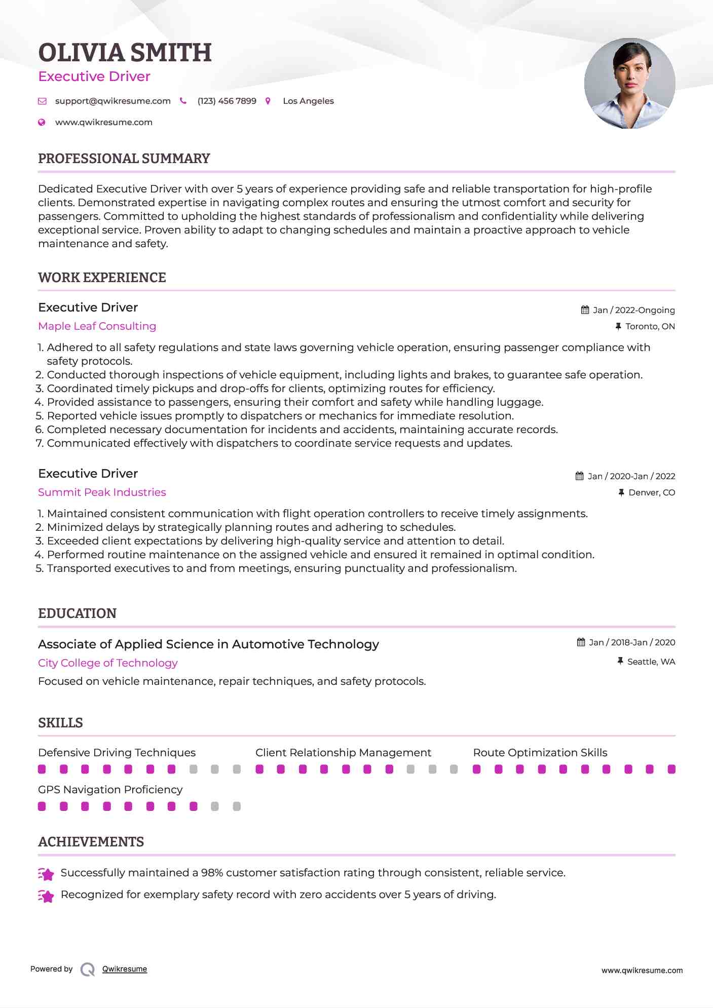Executive Driver Resume Model