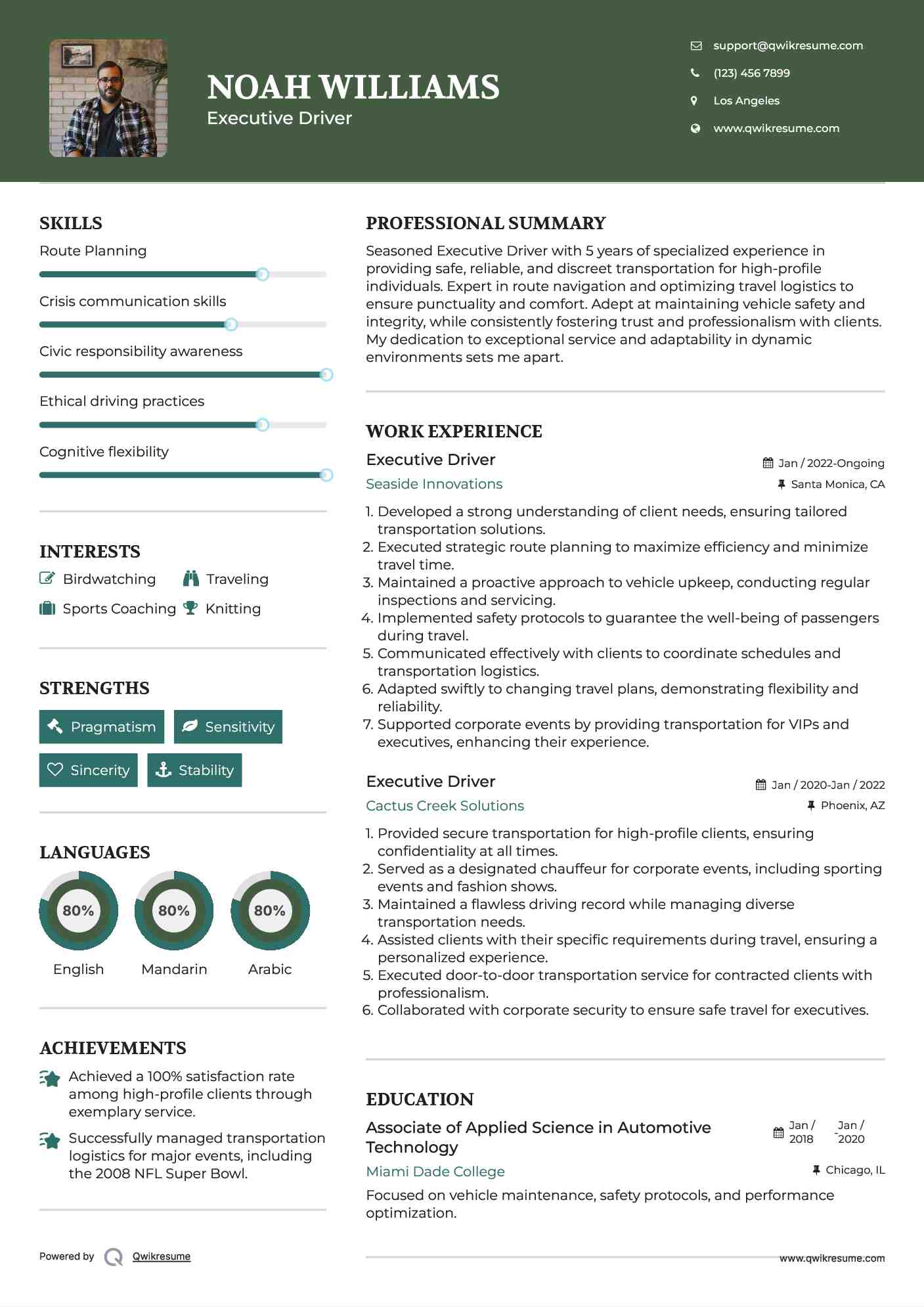 Executive Driver Resume Model