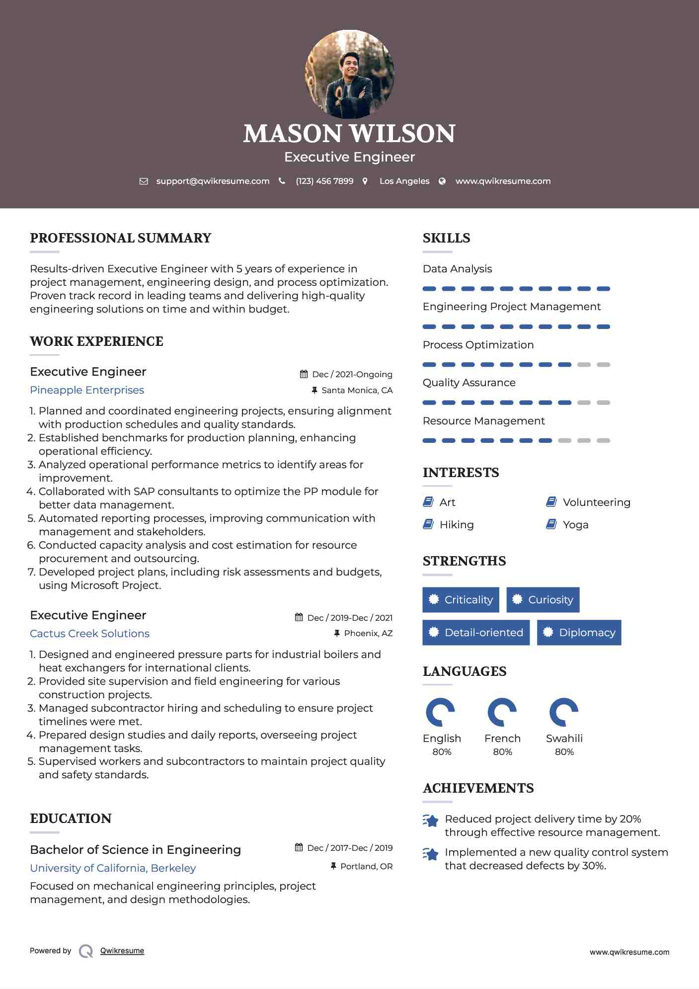 Executive Engineer Resume Sample