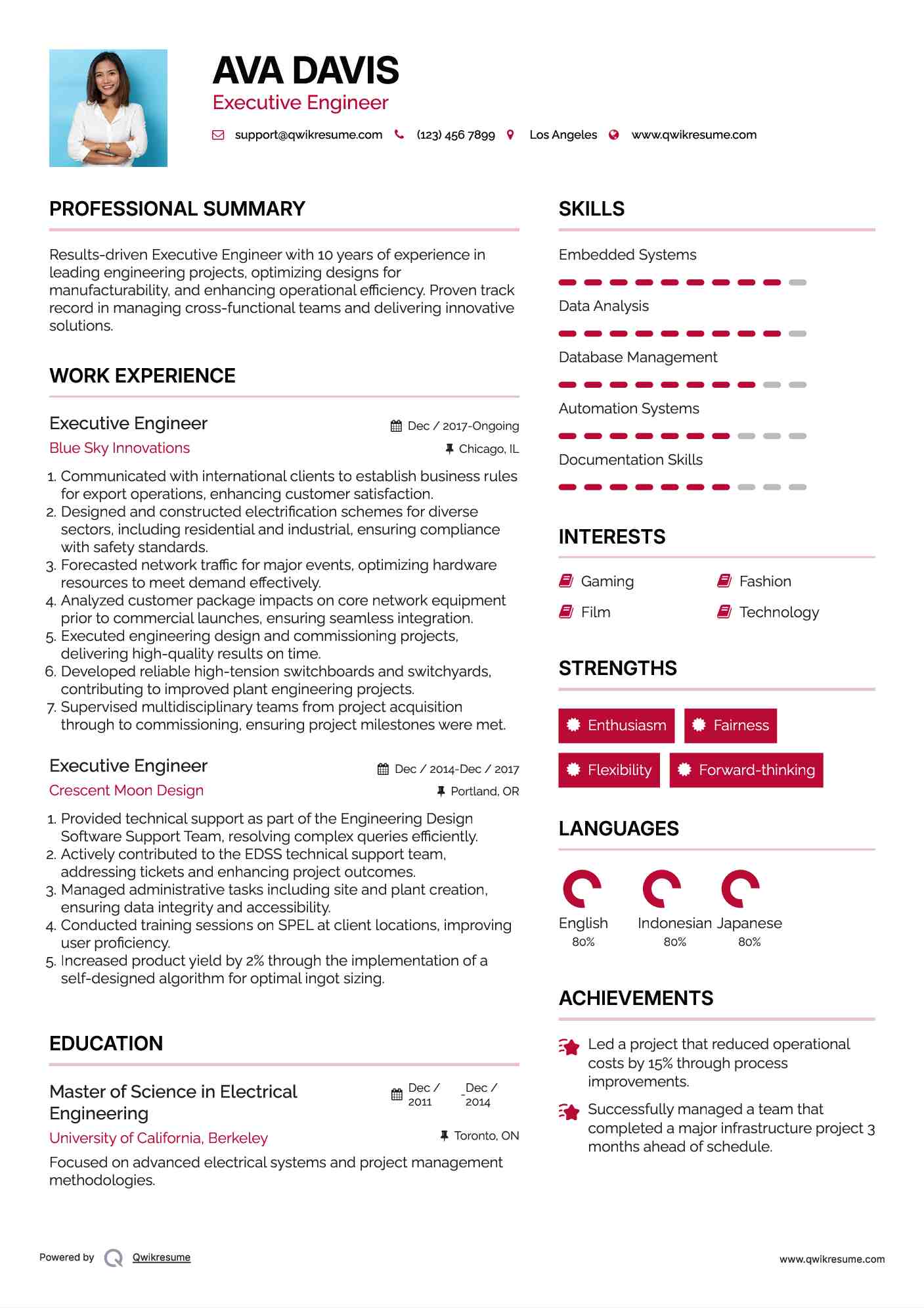 Executive Engineer Resume Model