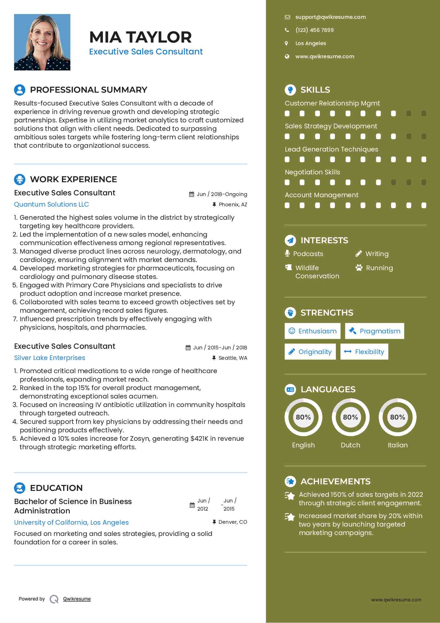 Executive Sales Consultant Resume Model