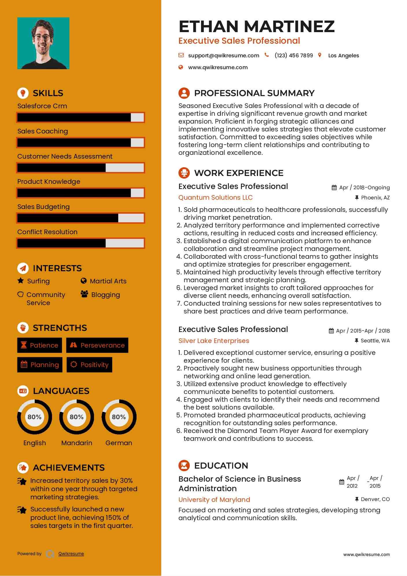 Executive Sales Professional Resume Model