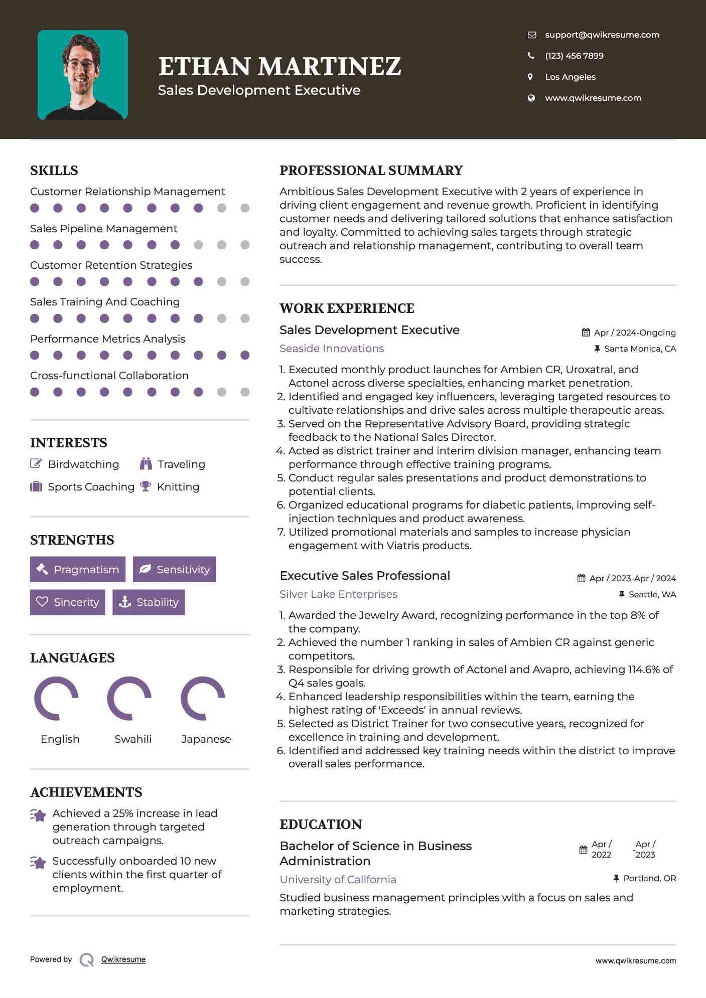 Sales Development Executive Resume Model