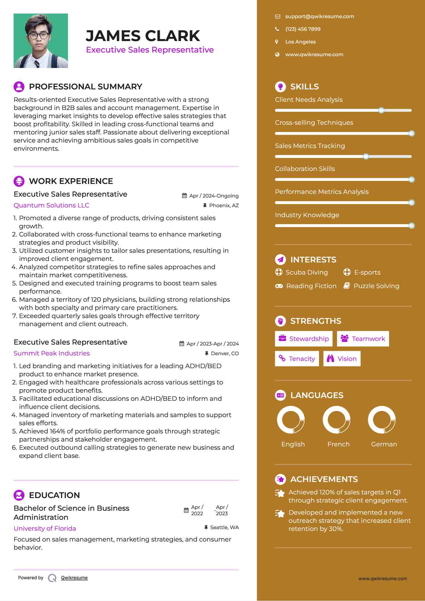 Executive Sales Representative Resume Template