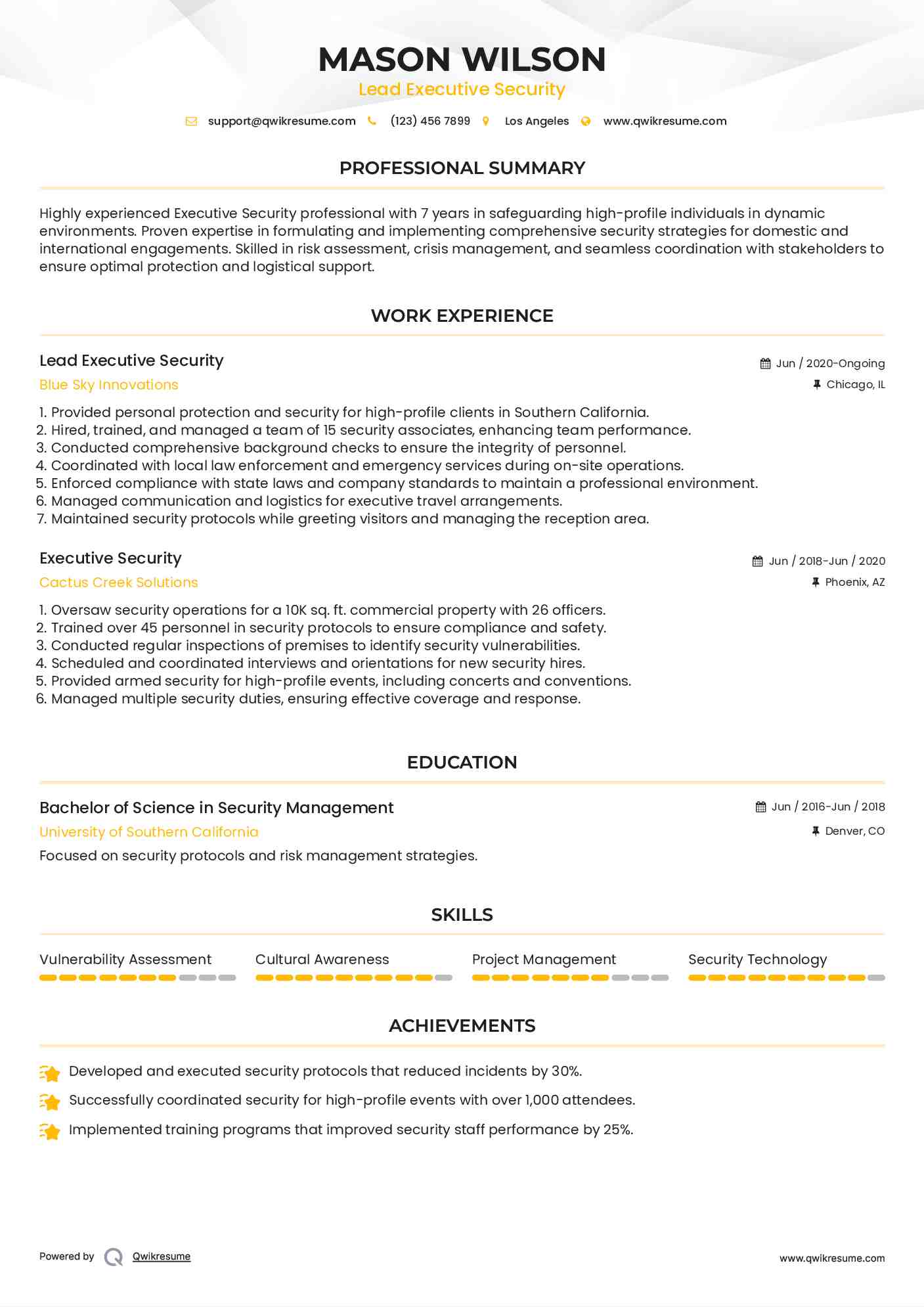 Lead Executive Security Resume Sample