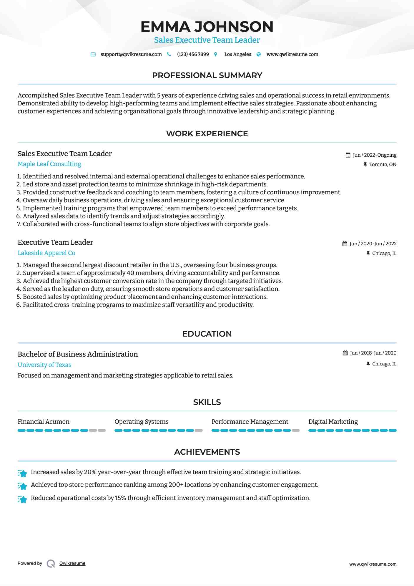 Sales Executive Team Leader Resume Format