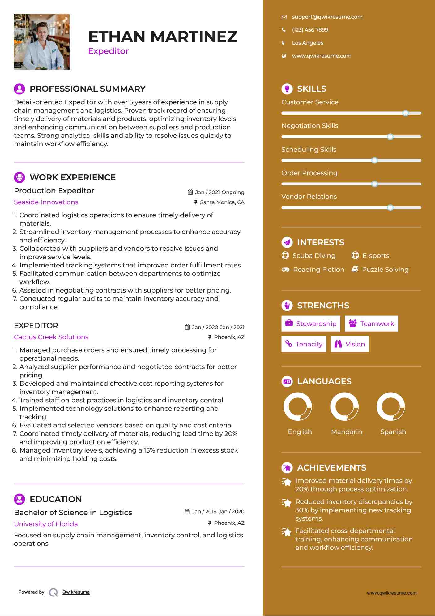 Production Expeditor Resume Template