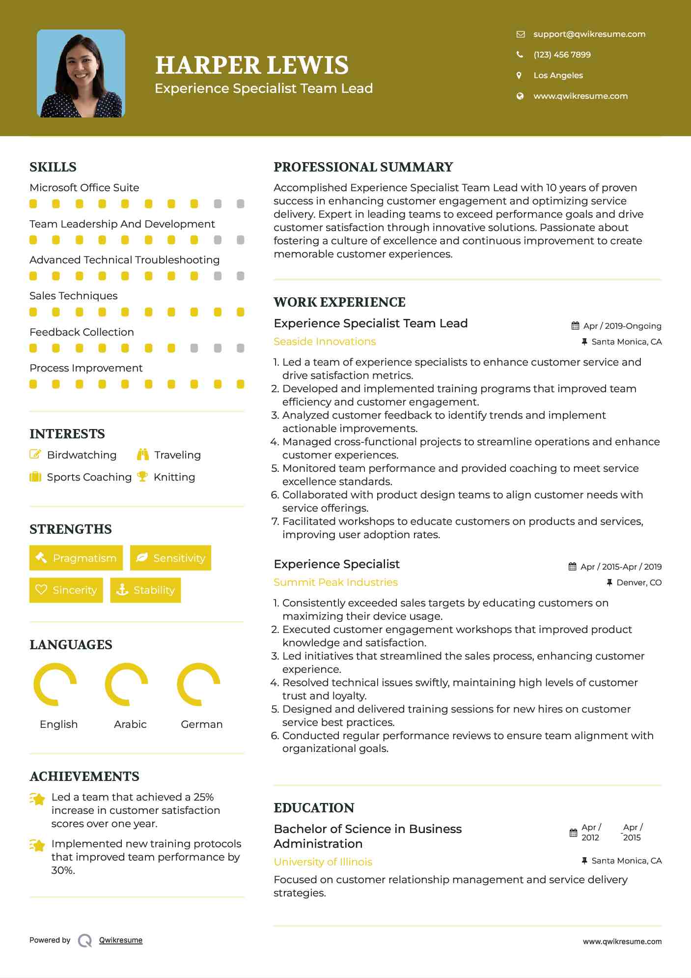 Experience Specialist Team Lead Resume Template
