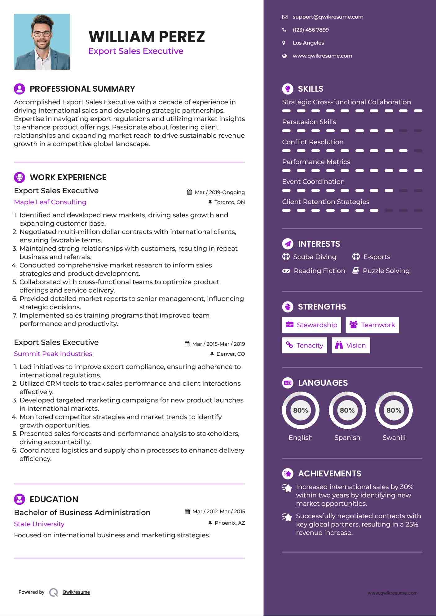 Export Sales Executive Resume Example