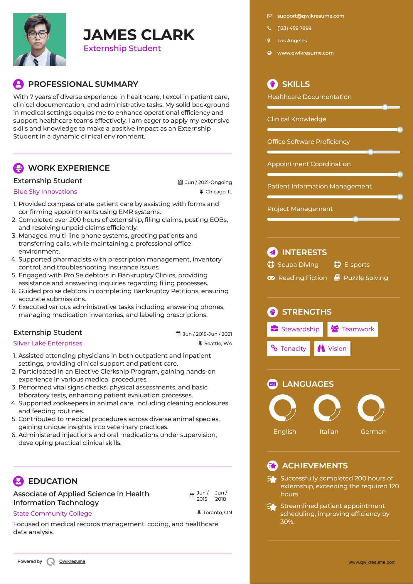 Externship Student Resume Sample