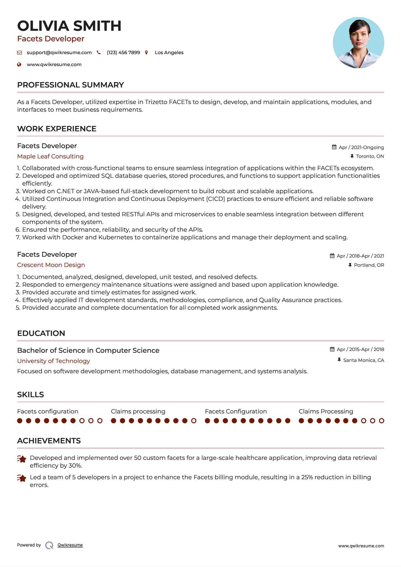 Facets Developer Resume Model