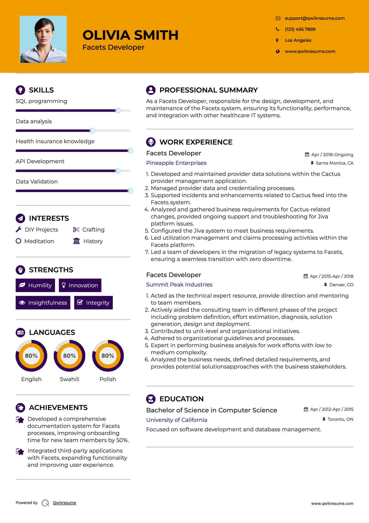 Facets Developer Resume Example