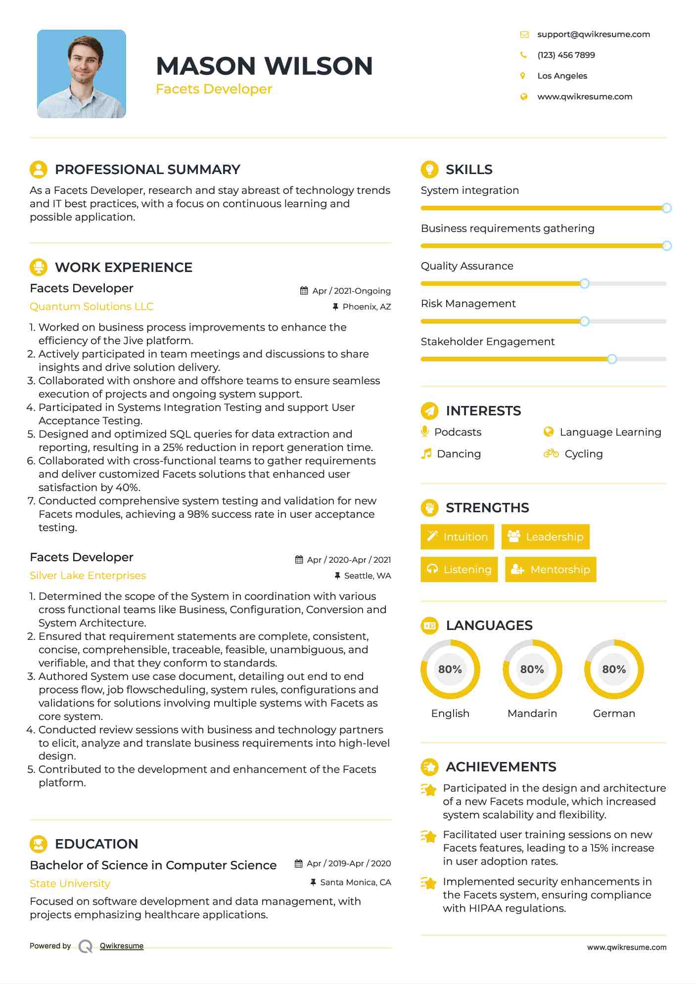 Facets Developer Resume Example