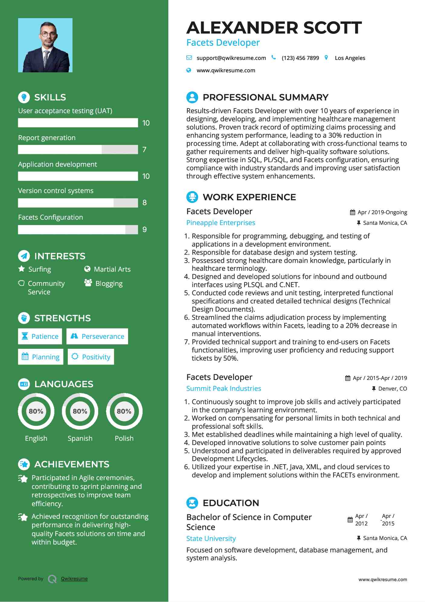 Facets Developer Resume Model