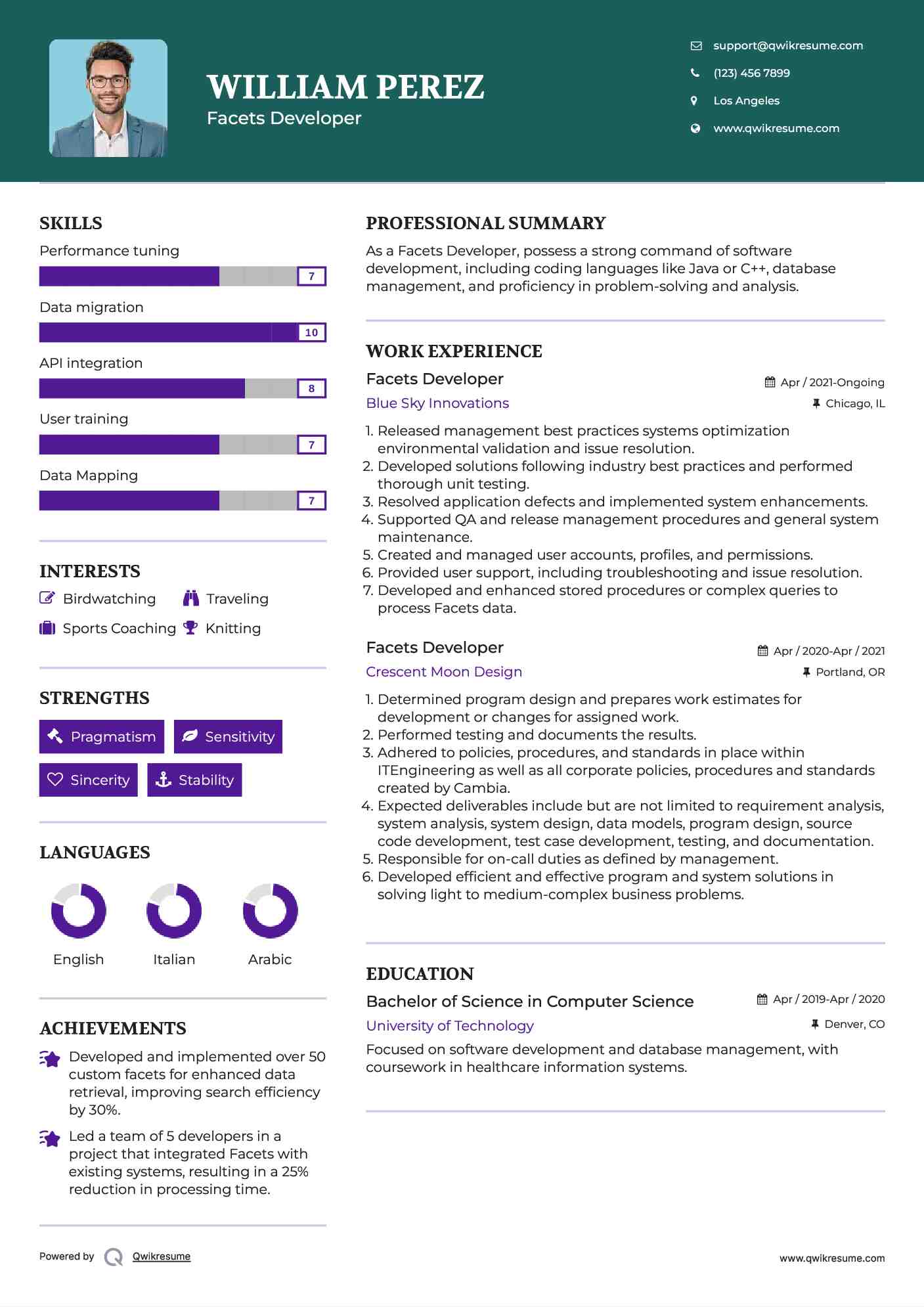Facets Developer Resume Model