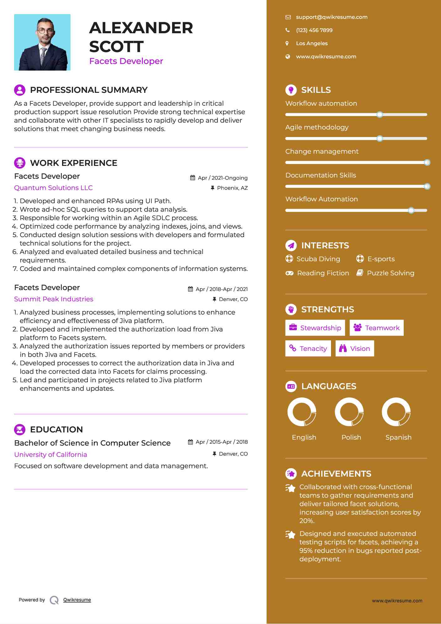 Facets Developer Resume Model