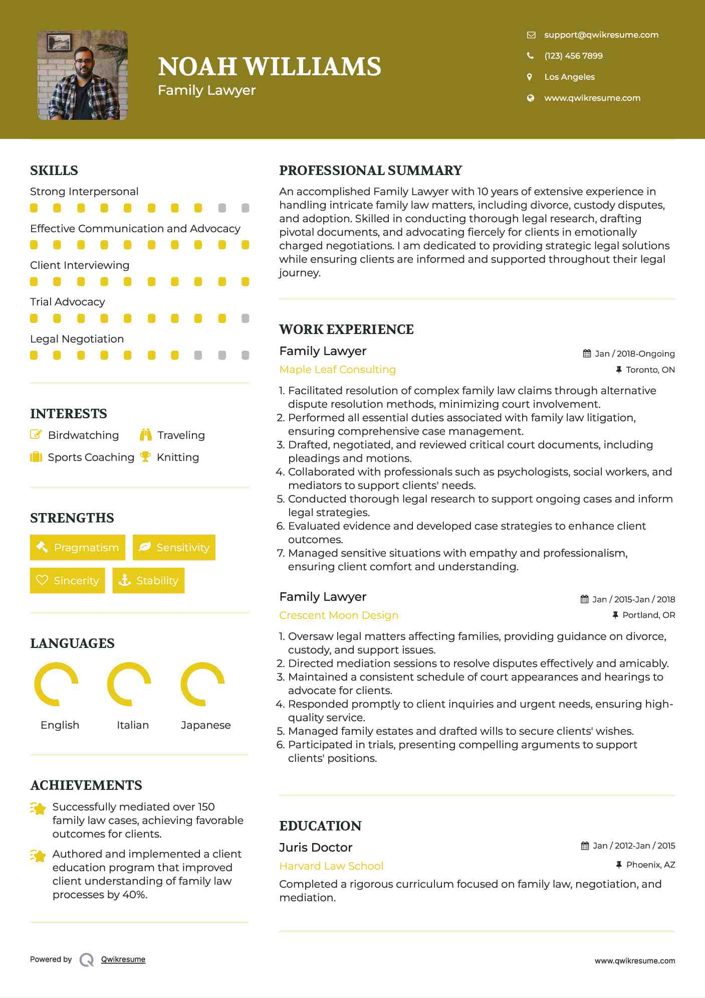 Family Lawyer Resume Model