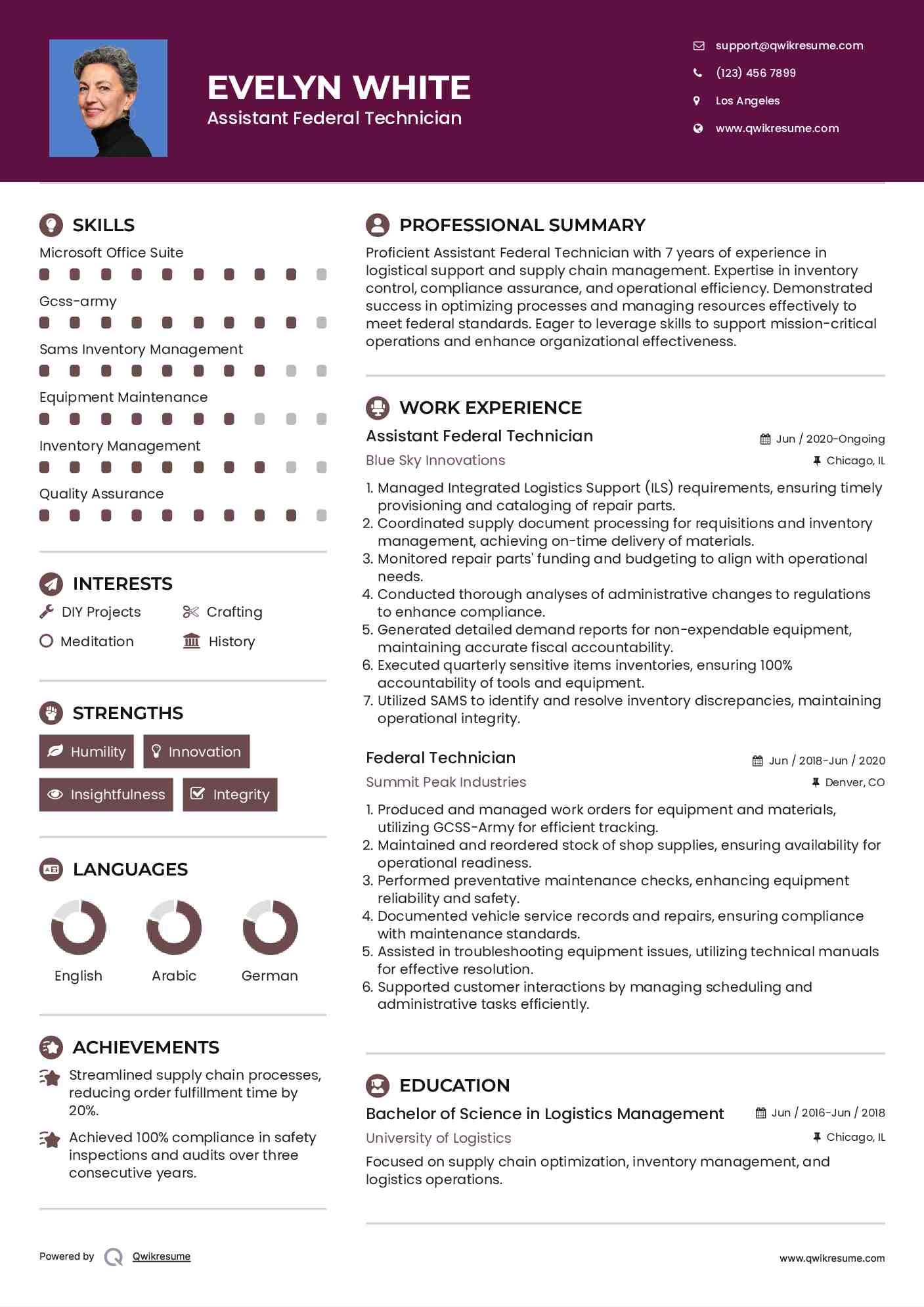 Assistant Federal Technician Resume Template
