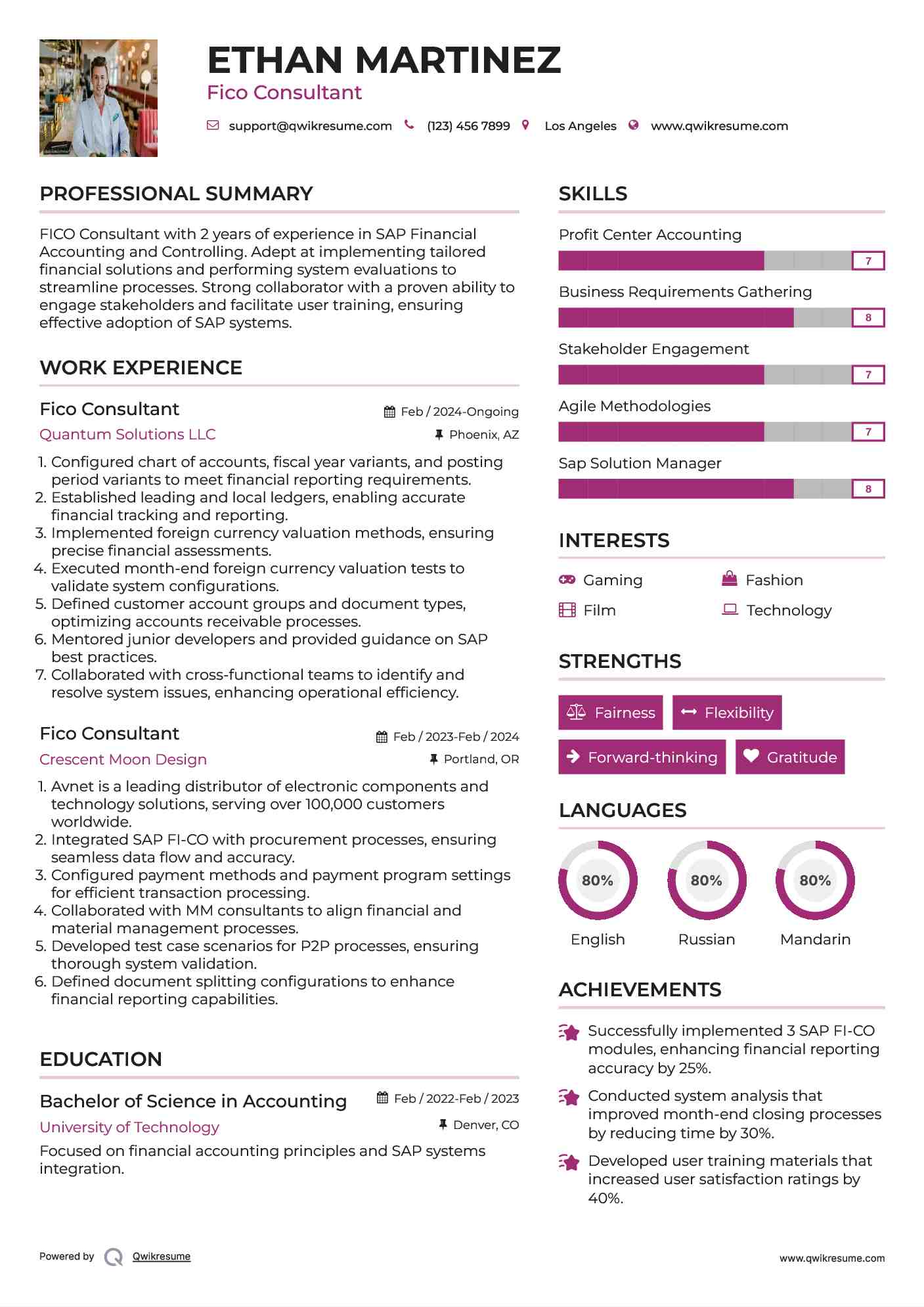 Fico Consultant Resume Model