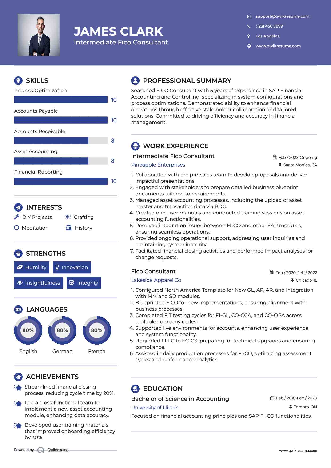 Intermediate Fico Consultant Resume Template