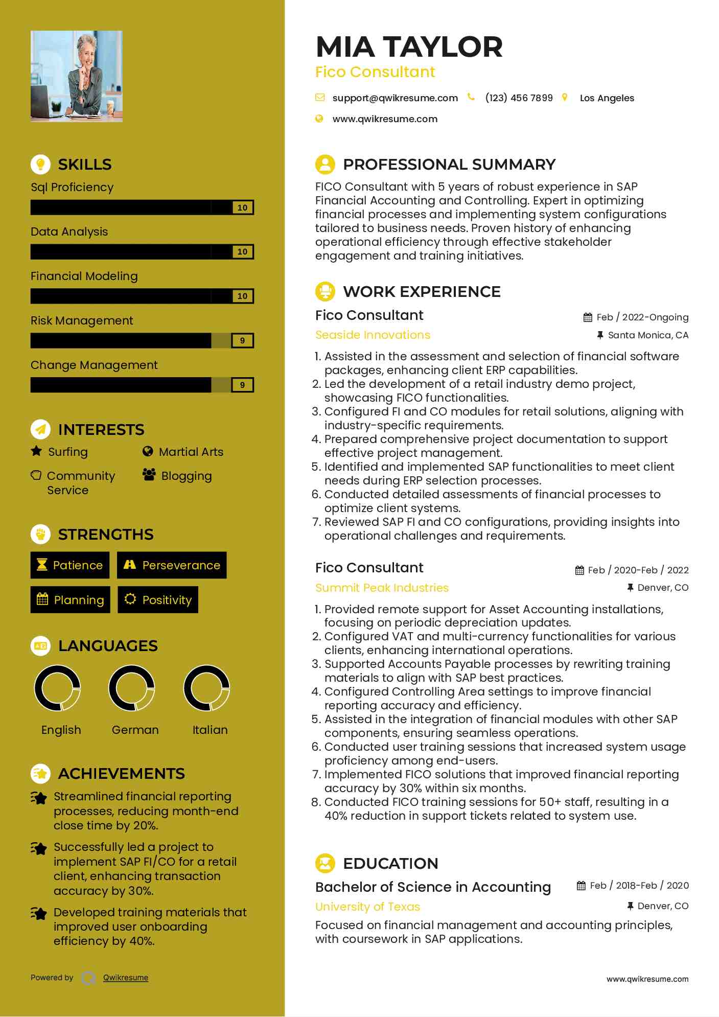 Fico Consultant Resume Format