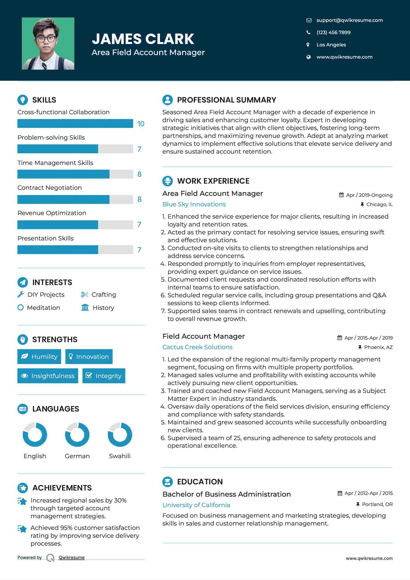Area Field Account Manager Resume Example