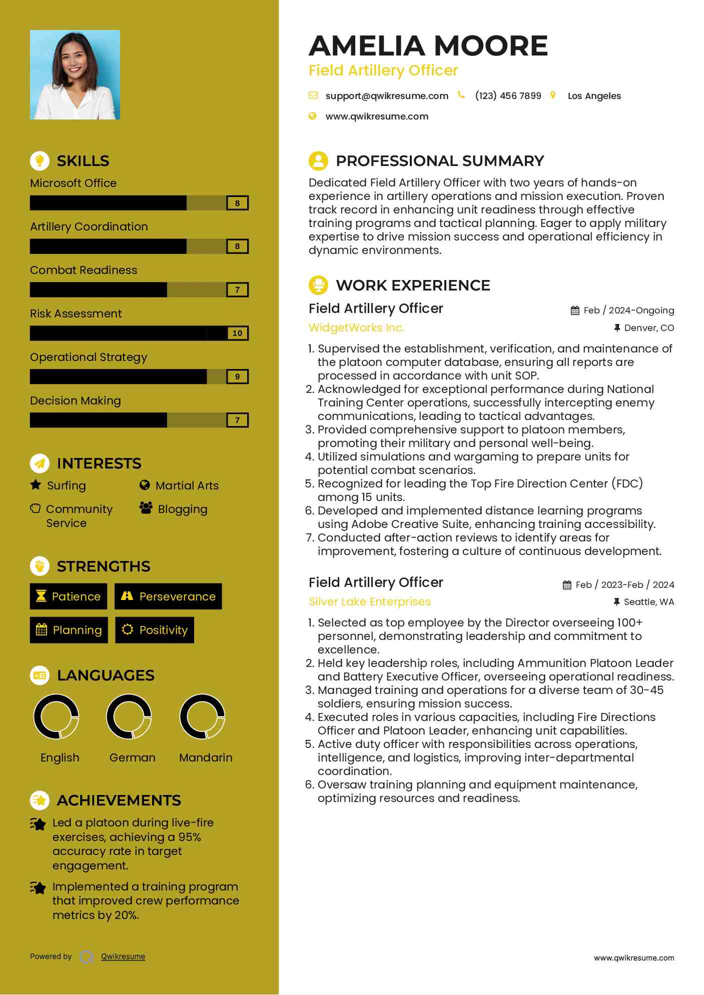 Field Artillery Officer Resume Example