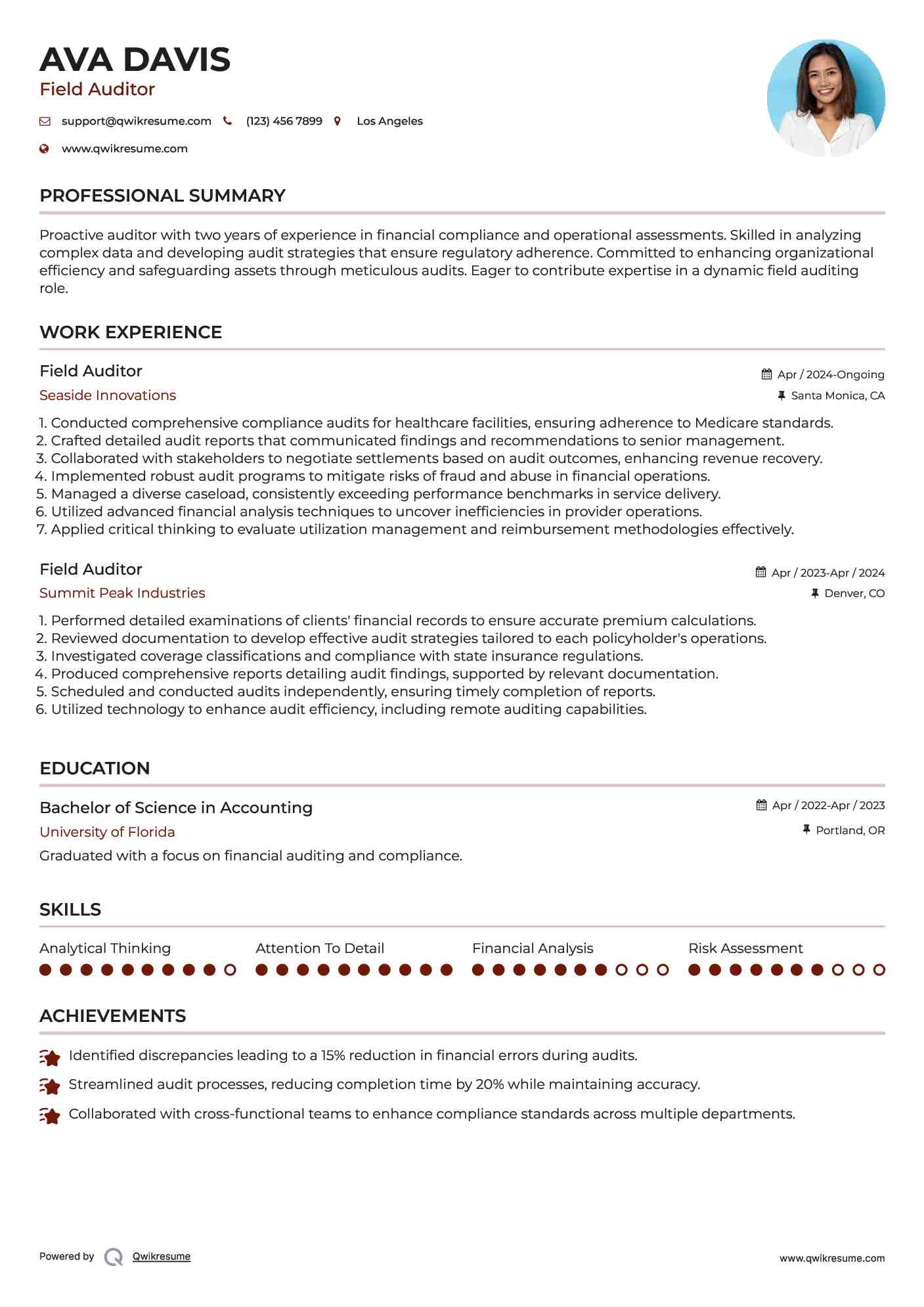Field Auditor Resume Model