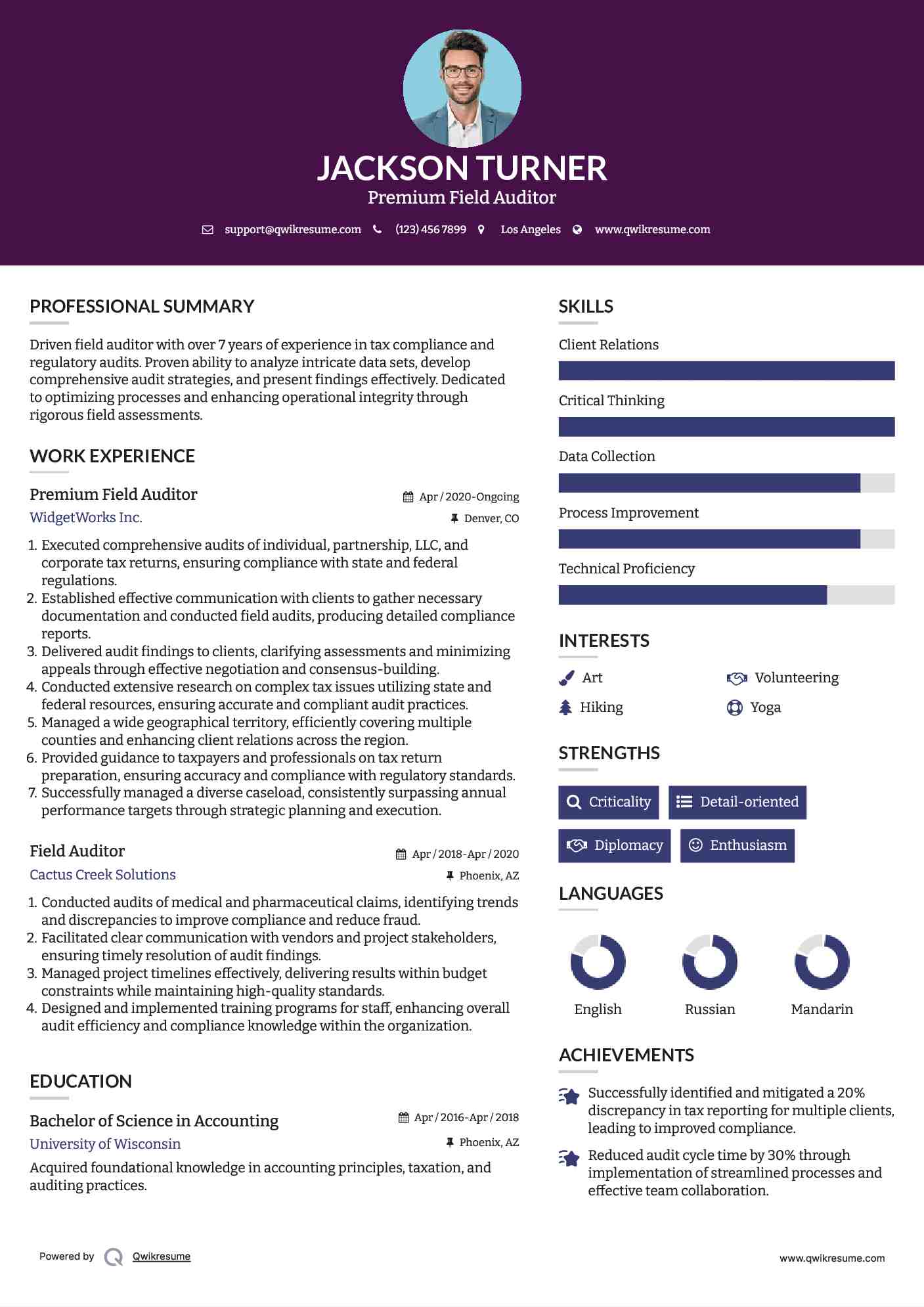 Premium Field Auditor Resume Example