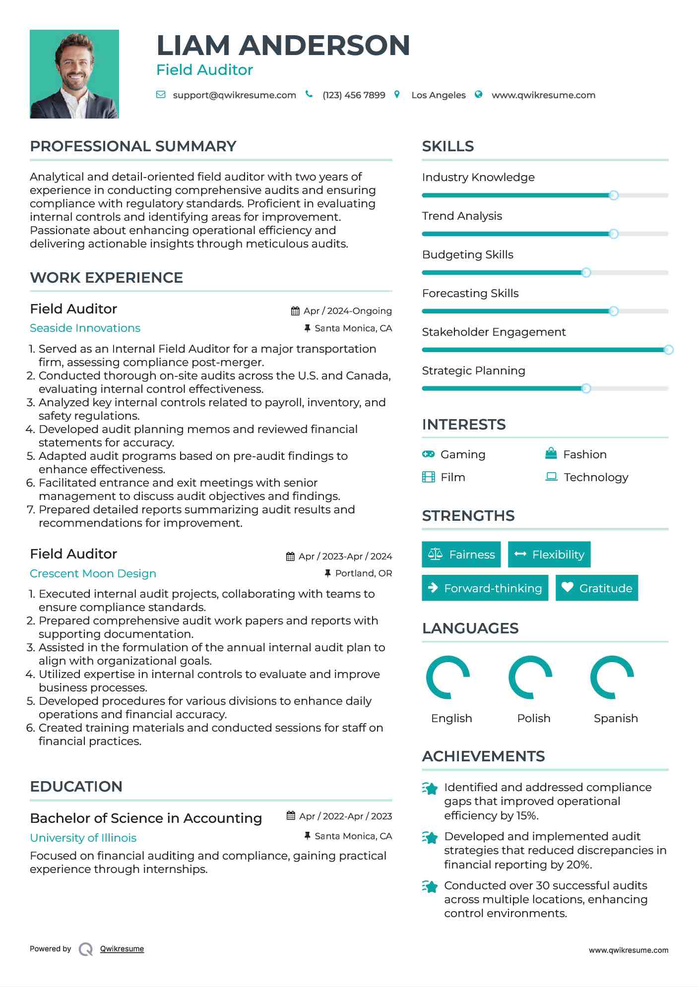 Field Auditor Resume Format