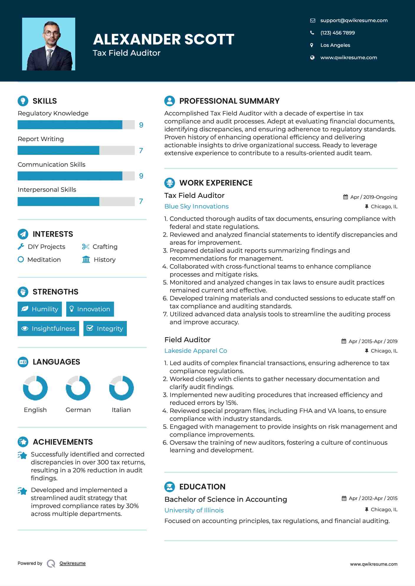 Tax Field Auditor Resume Example