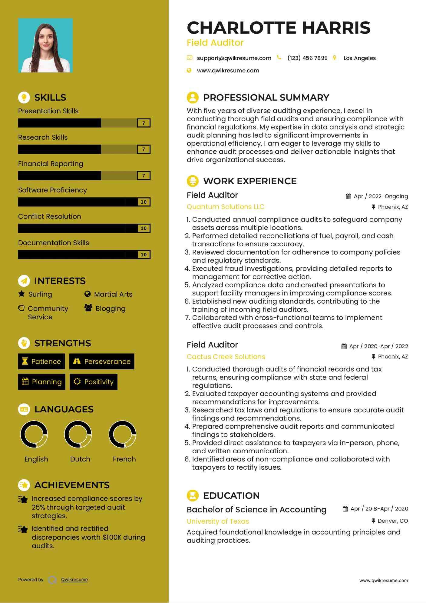 Field Auditor Resume Model
