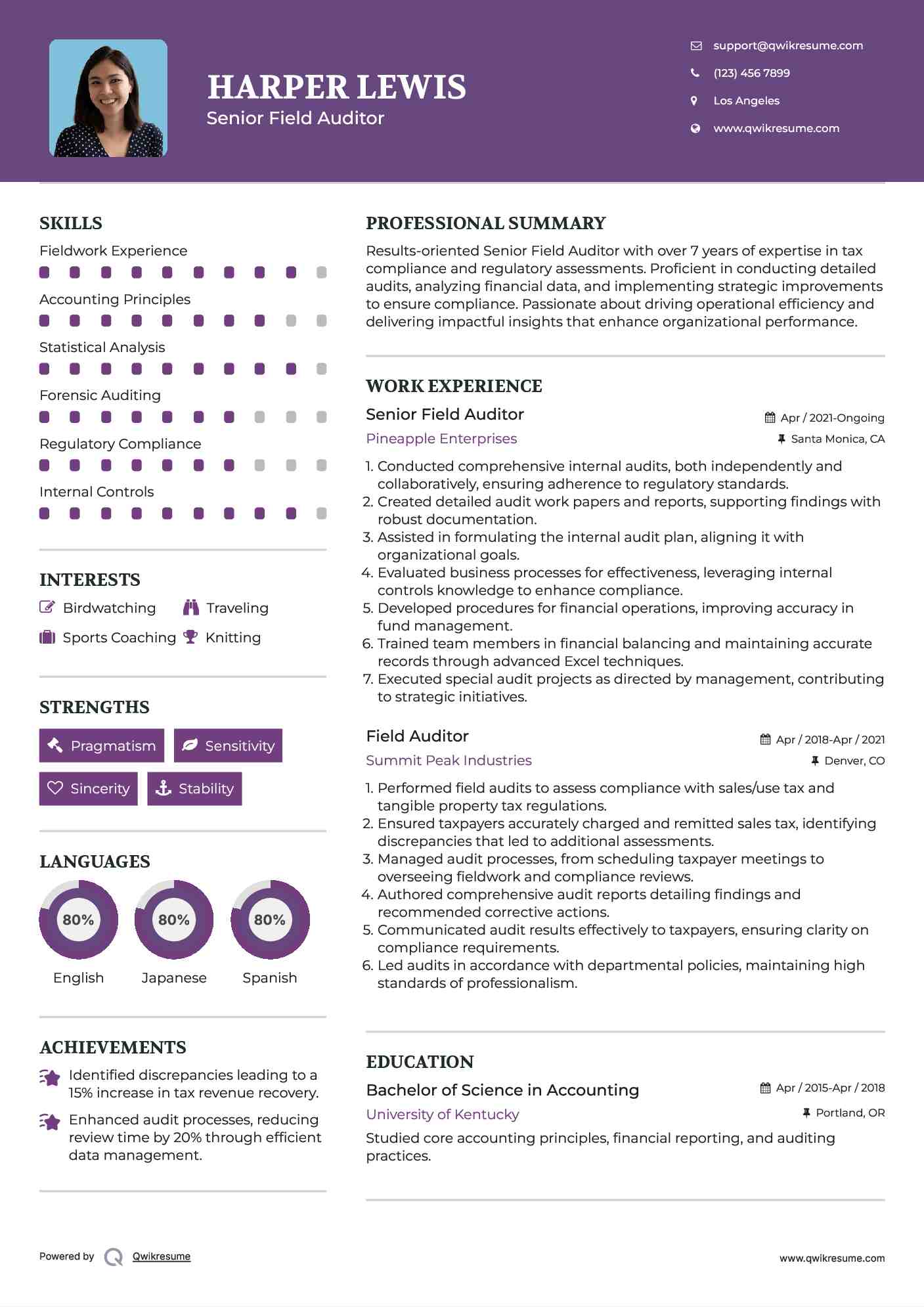 Senior Field Auditor Resume Template