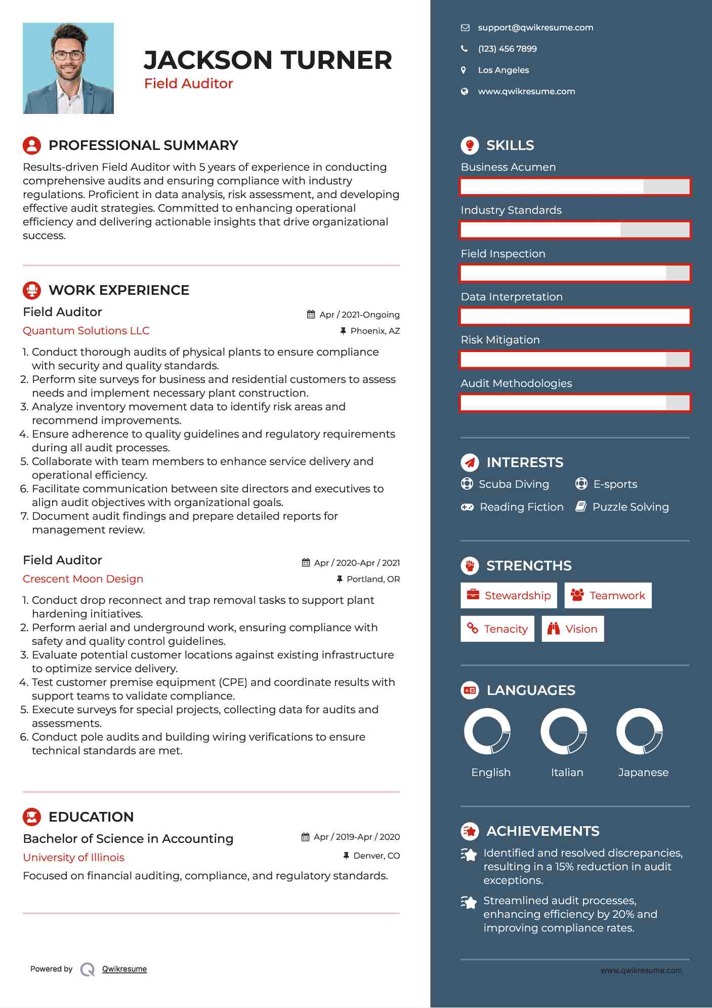 Field Auditor Resume Format