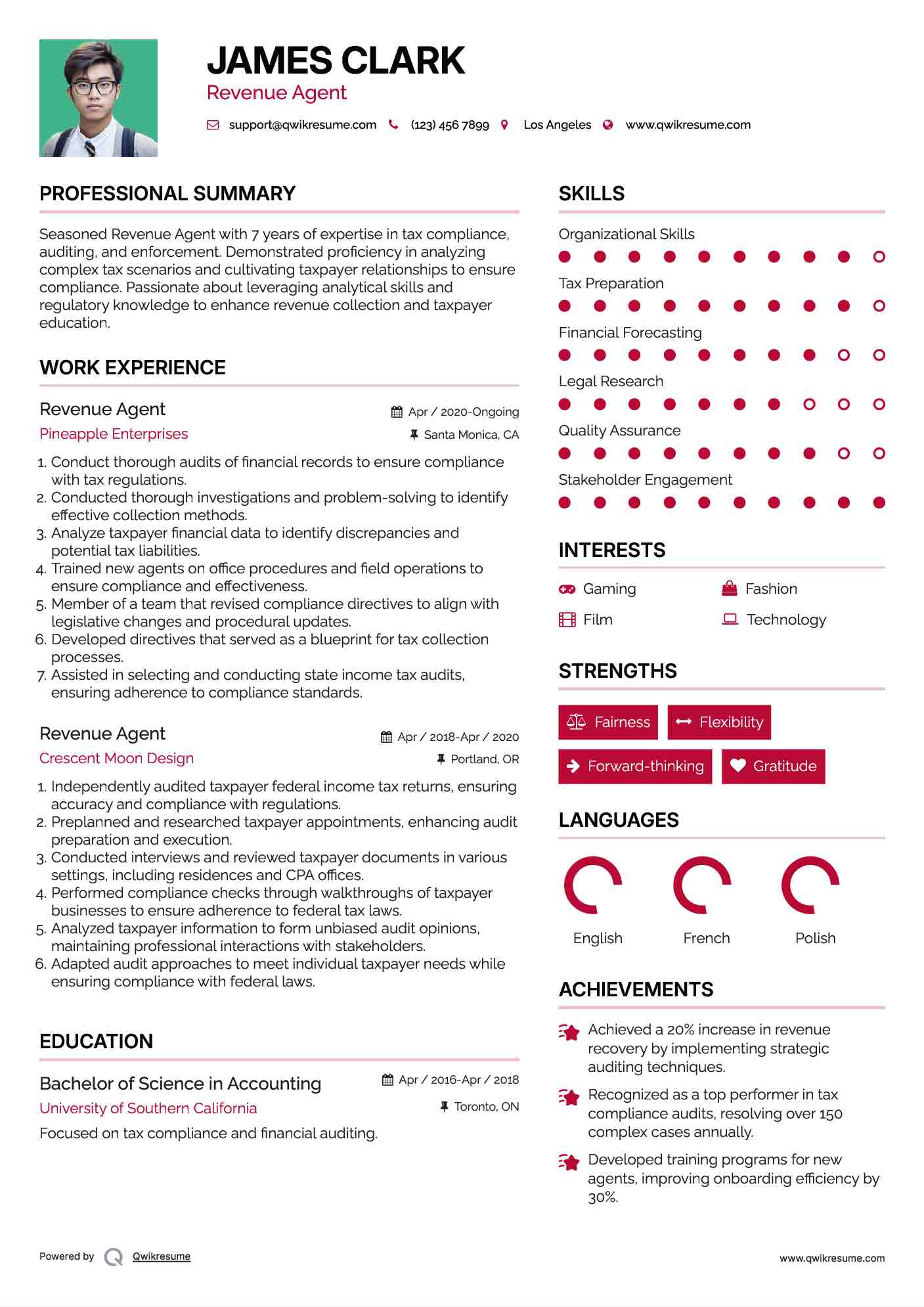 Revenue Agent Resume Format